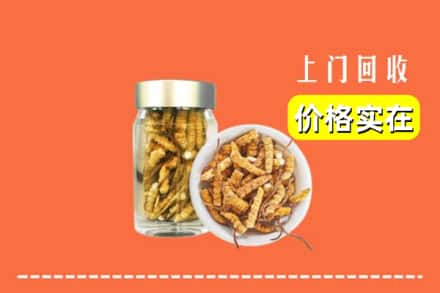 临汾翼城县回收散虫草