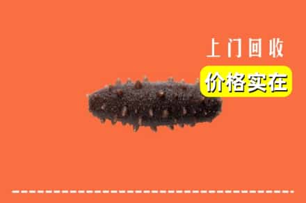 临汾翼城县回收海参