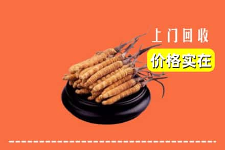 临汾翼城县回收冬虫夏草